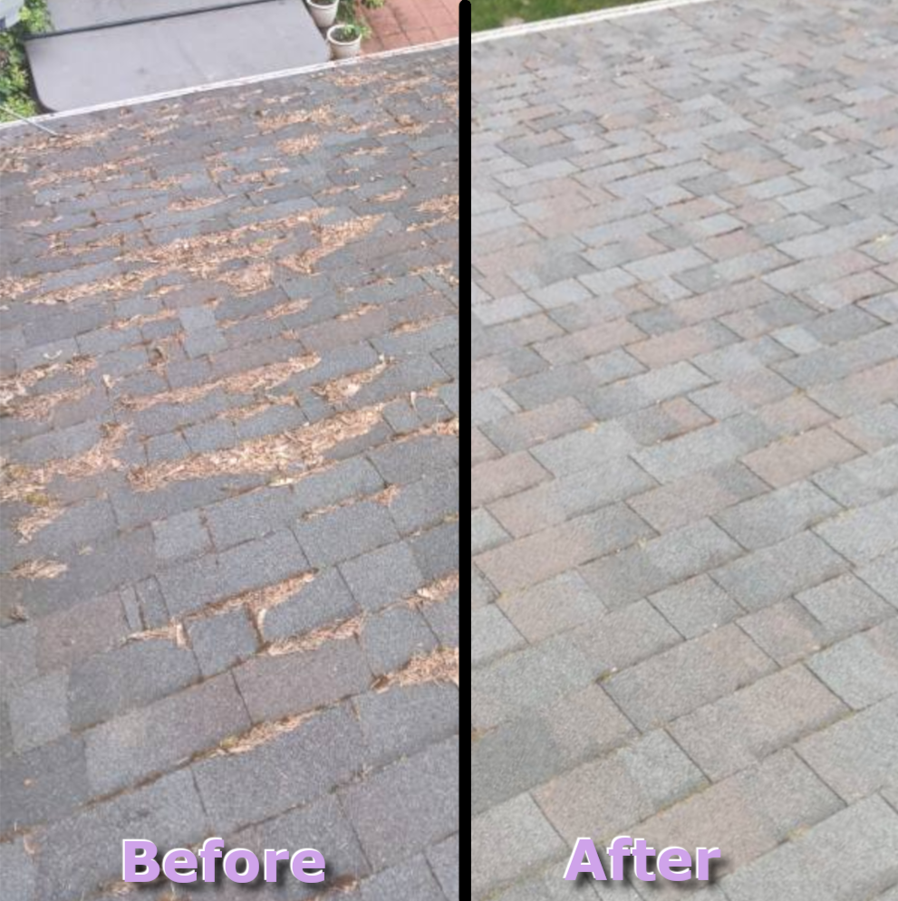 Two photos of a roof. The first photo is weathered and worn and labeled "before", the second photo is clean and refinished, labeled "after."