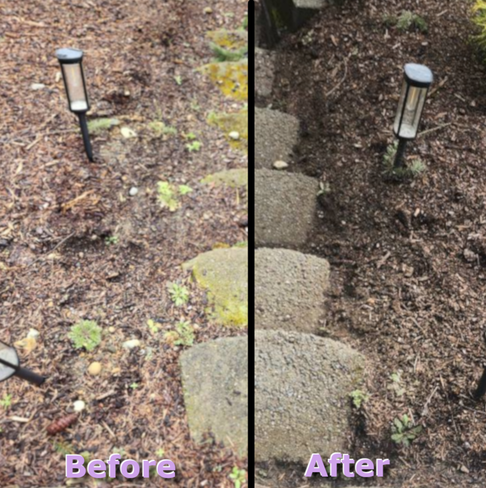 Two photos of a deck. The first photo is weathered and worn and labeled "before", the second photo is clean and refinished, labeled "after."